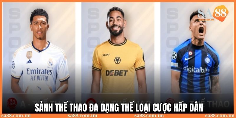 Sảnh thể thao với đa dạng thể loại để người chơi trải nghiệm